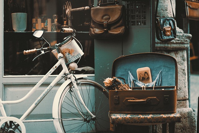 4. From Vintage Bikes to Iconic Memorabilia: Exploring the Wide Range of Collectibles